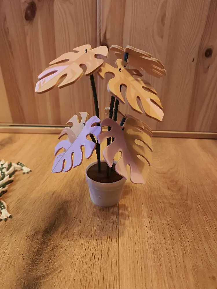 Onderzetter plant
